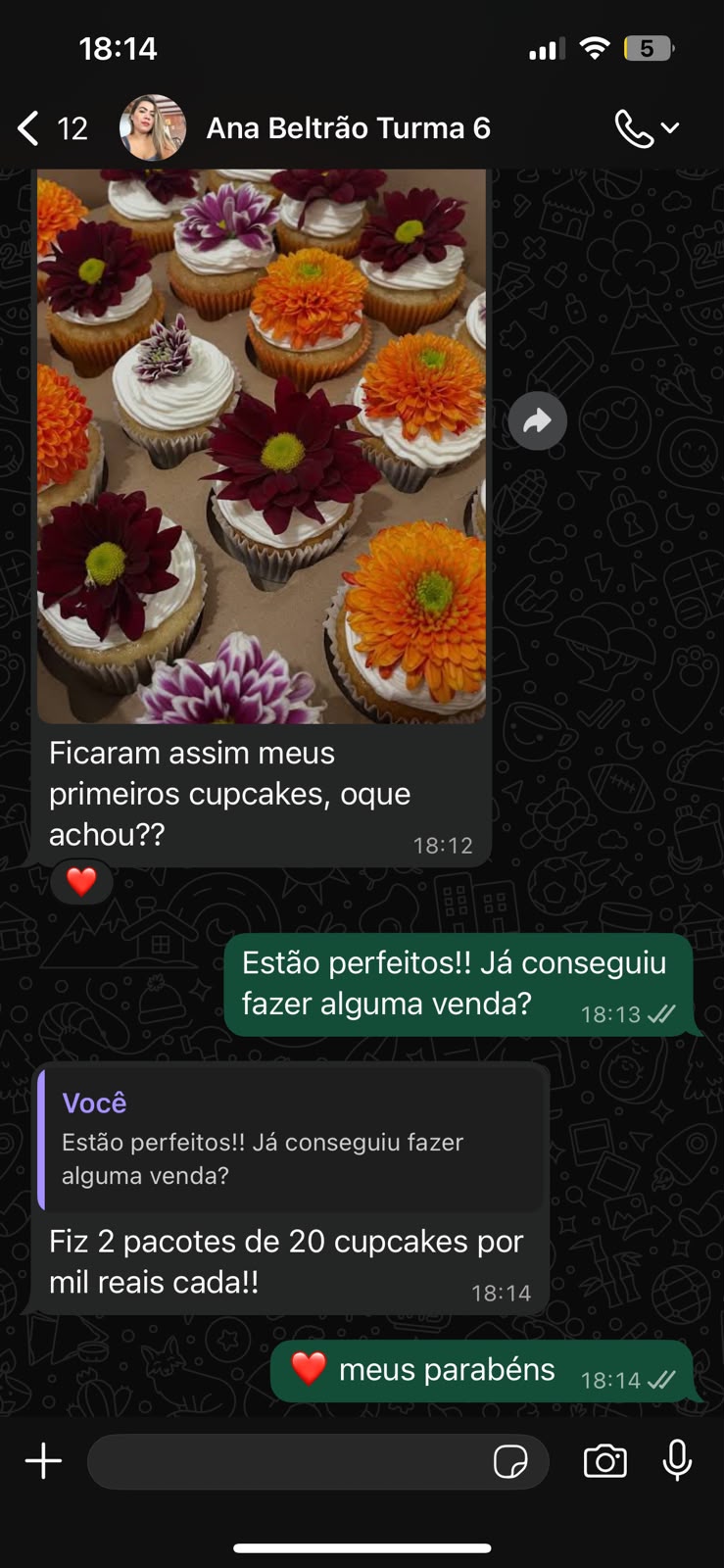 Depoimento Ana Beltrão